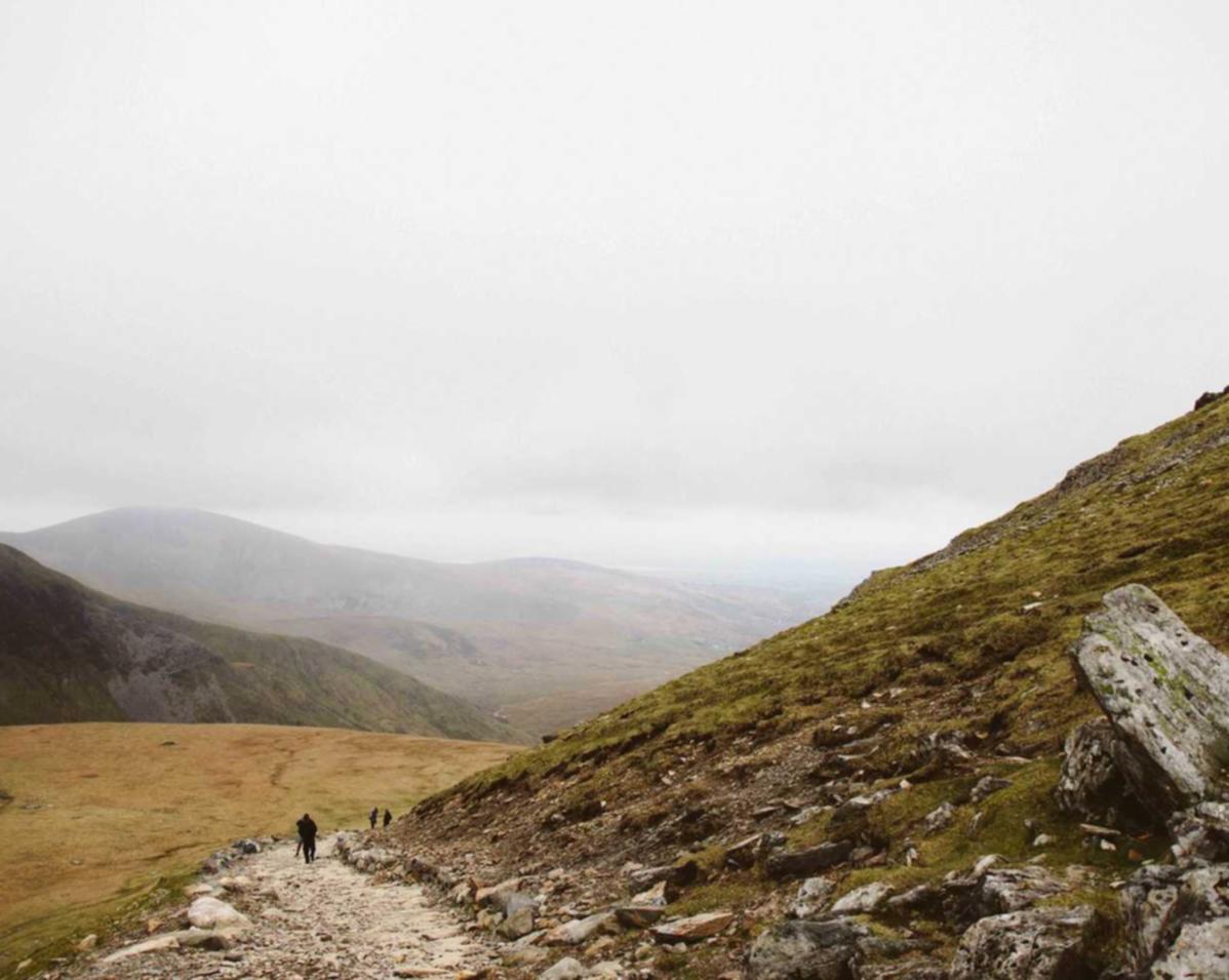 DDOS攻击器|代理在越南注册公司