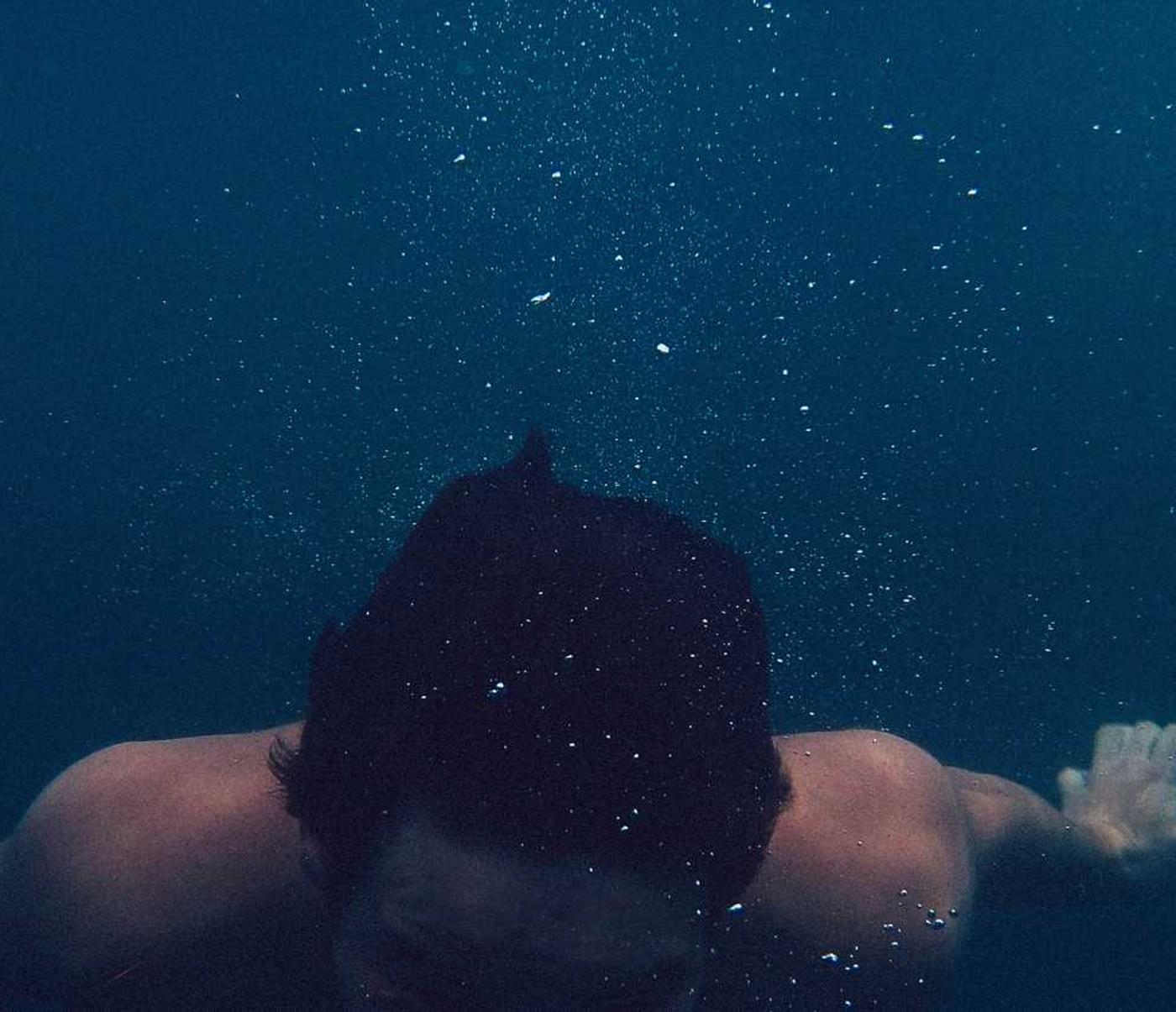 红梅花王：仙剑游戏详情下载教程app