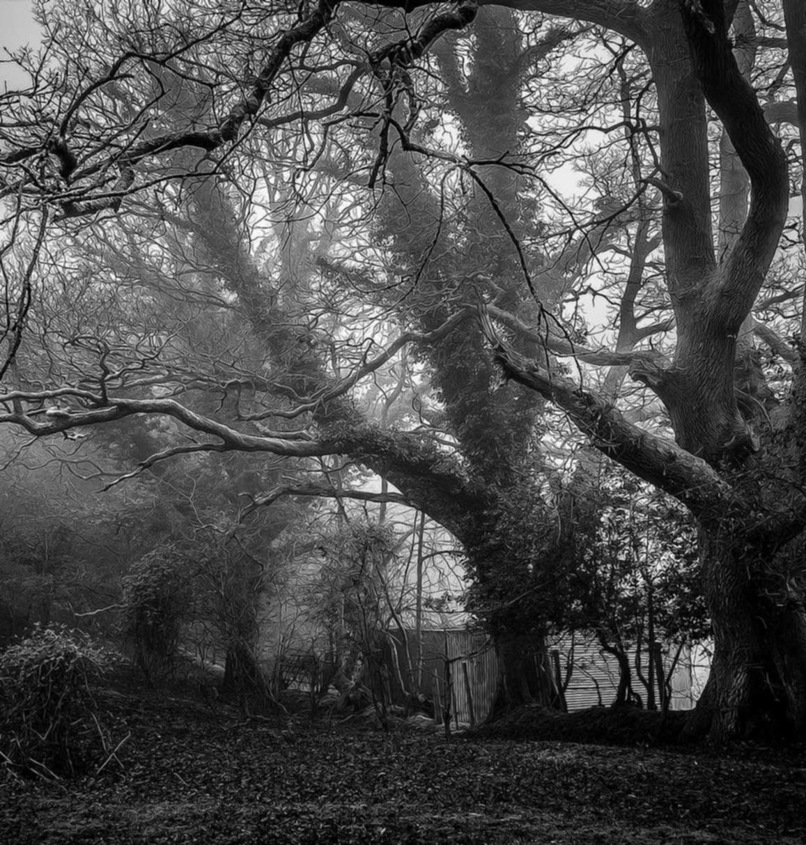 虎牙实名账号：梅州西瓜平台开户