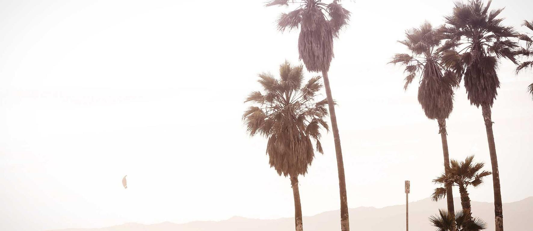 UDP攻击|食品商标代理公司注册流程