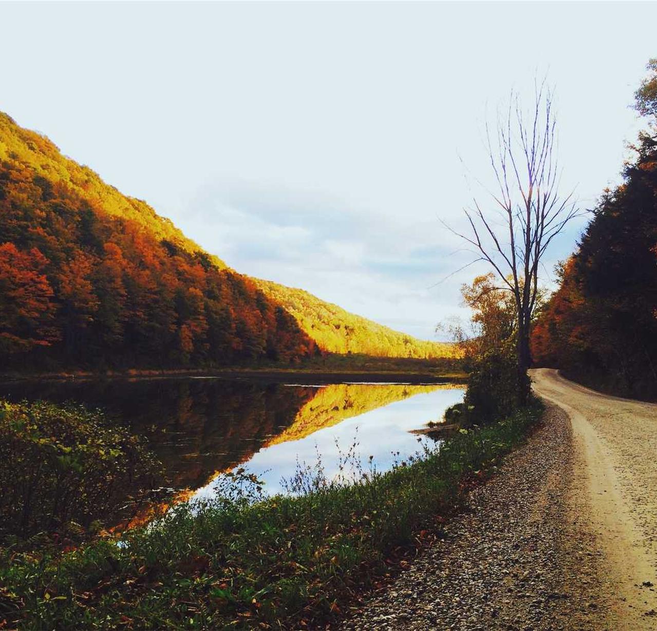 蜂巢互联实名账号：代理申请注册商标