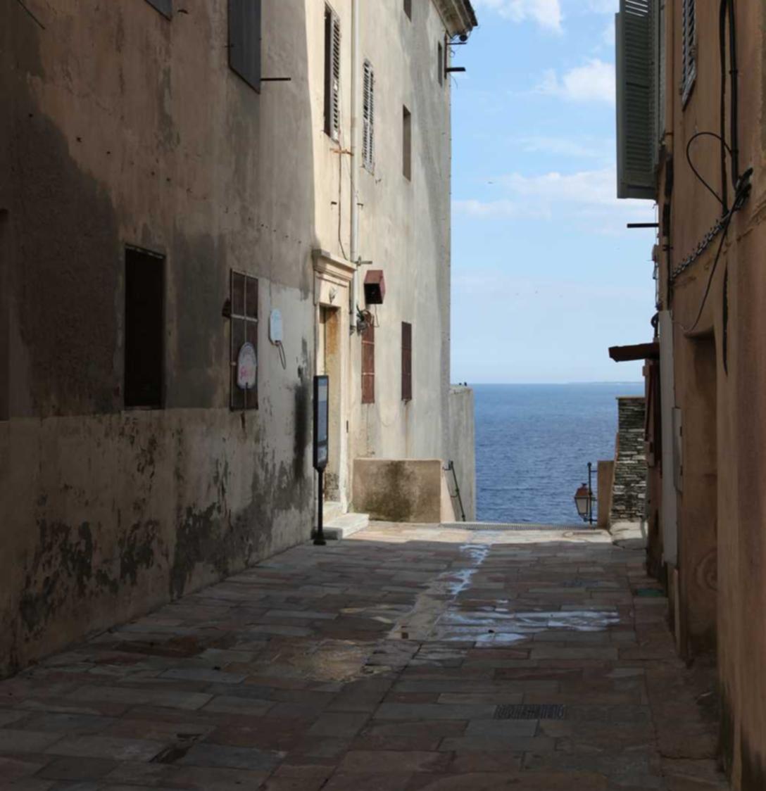 技术支持辅助是否能够完全被打击？