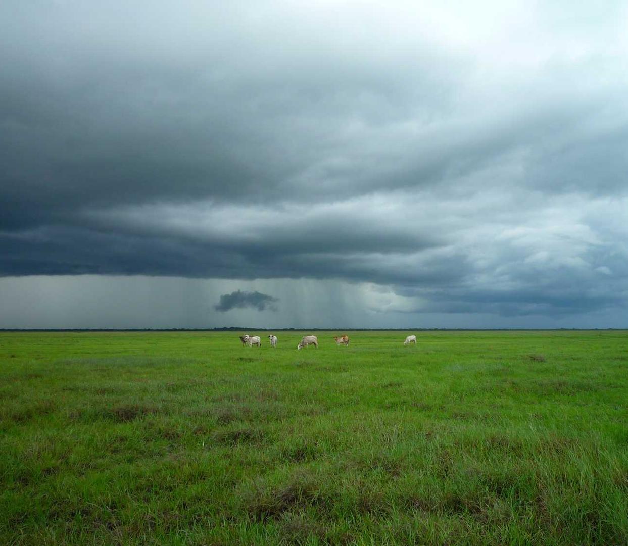 短信轰炸源码实名账号:实名制下,网络教育平台如何保证课程质量