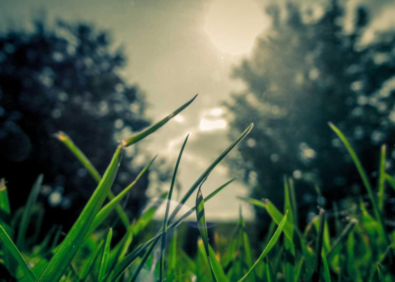 天火娱乐,注册|企业如何建立持久的客户关系?