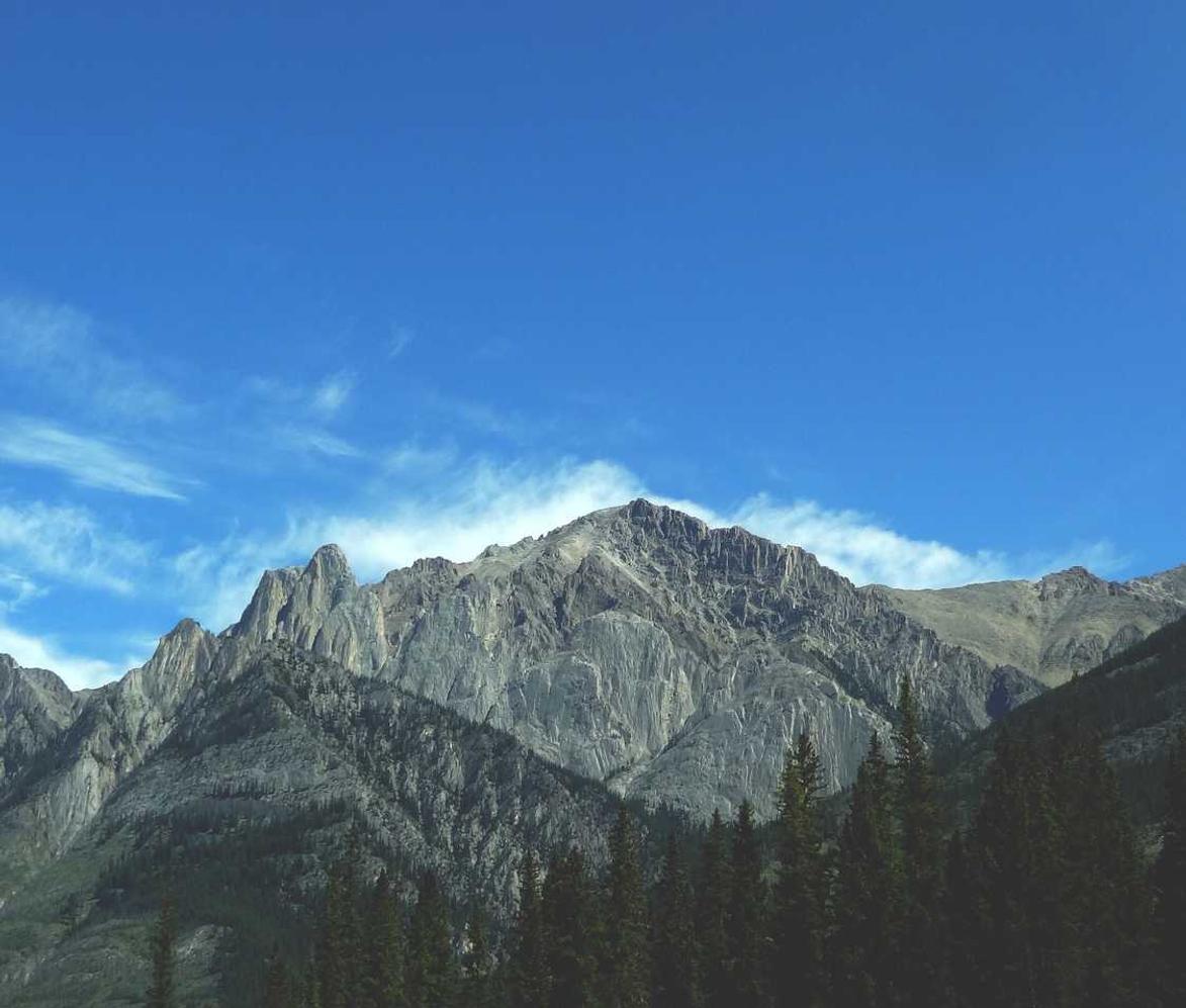 使用技术支持辅助的义不容辞的理由