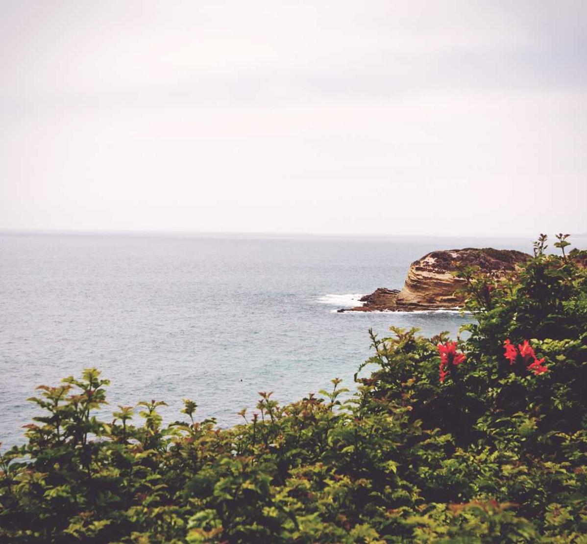 出口荷花(软):淘股吧可以注册几个账号