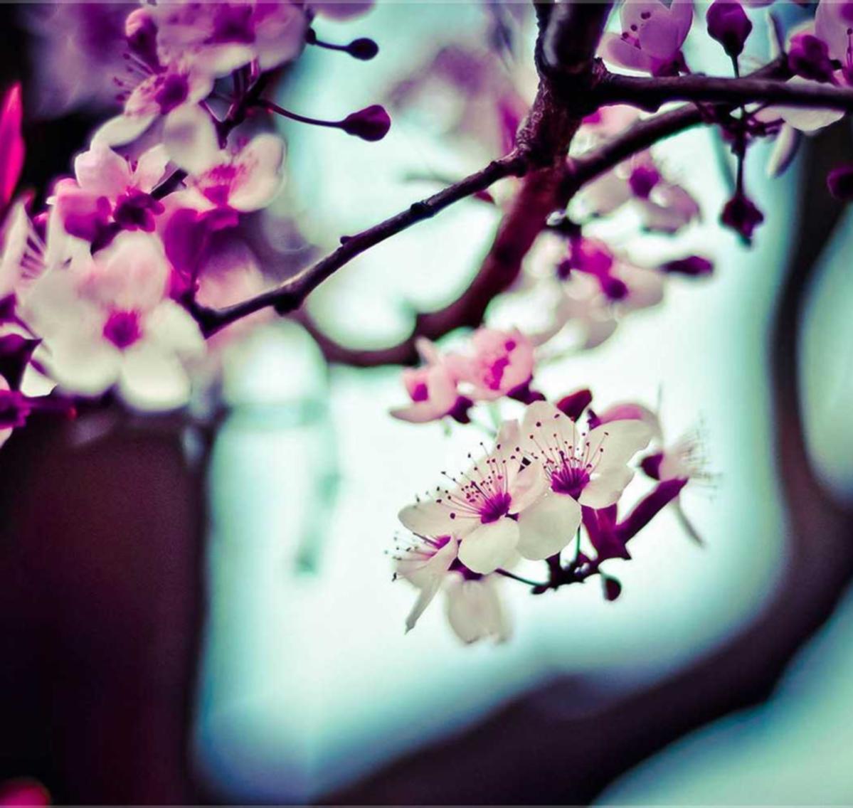 天翼云实名账号：好的营销系统代理项目平台