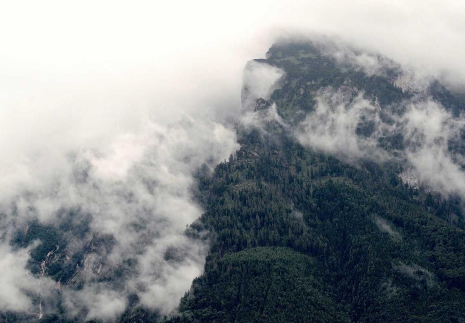 欧盟白金万宝路：安徽抢险泵车购买平台