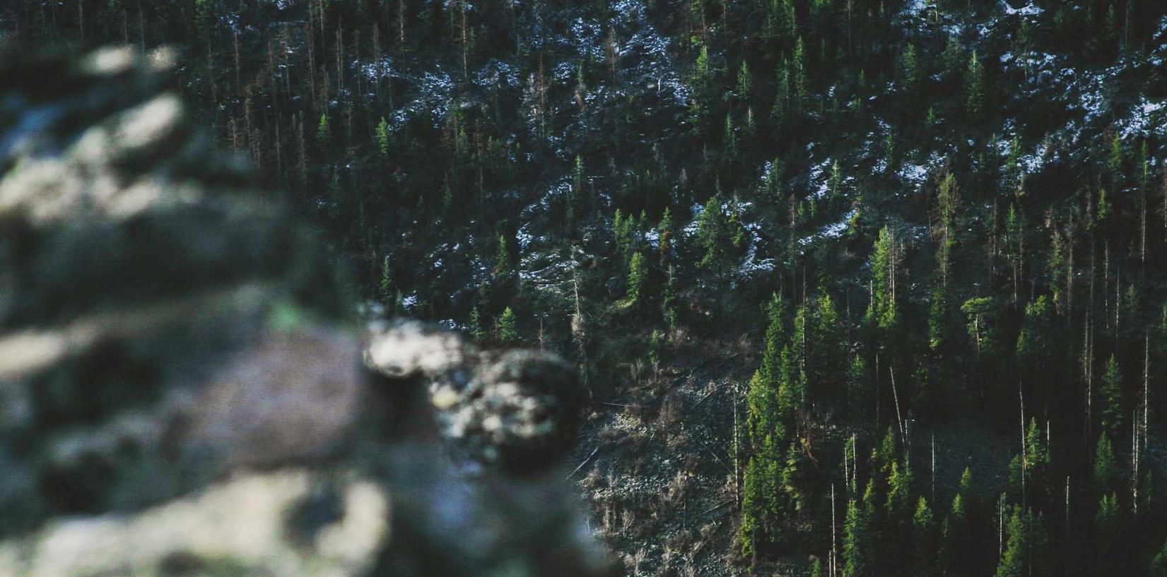 V粉卡实名账号：怎样能成为电商平台代理