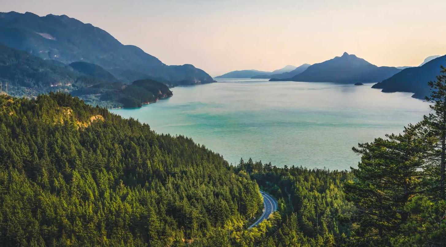 微信老号买卖：网络策略评估钱开户平台赚钱