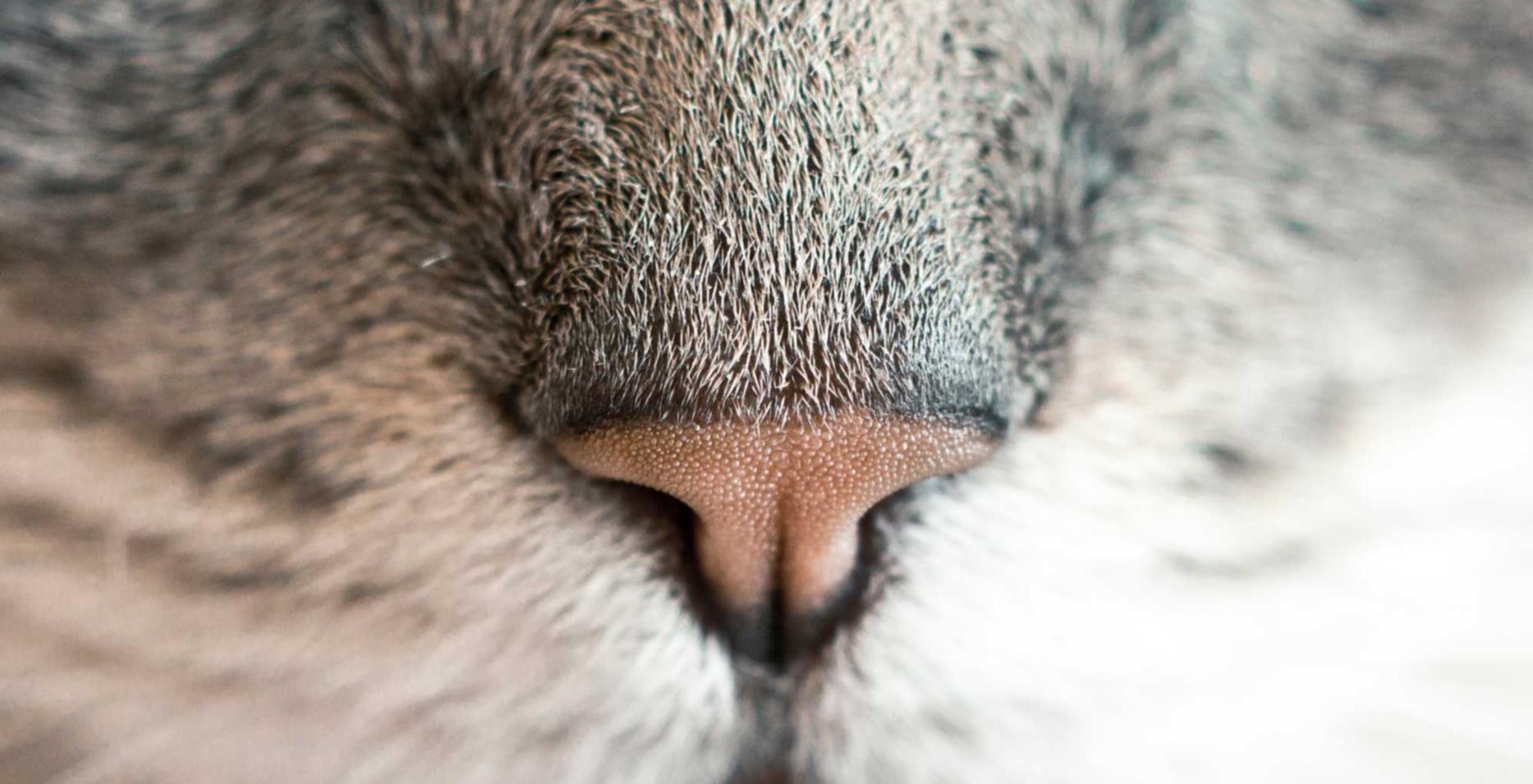 剑侠情缘经典版：瑞金医院官网app详情下载教程