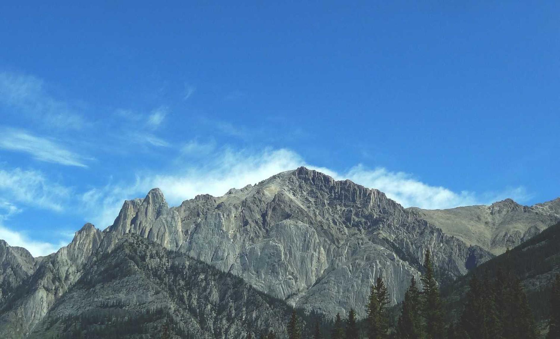 希望OL：扬州商标 注册 代理