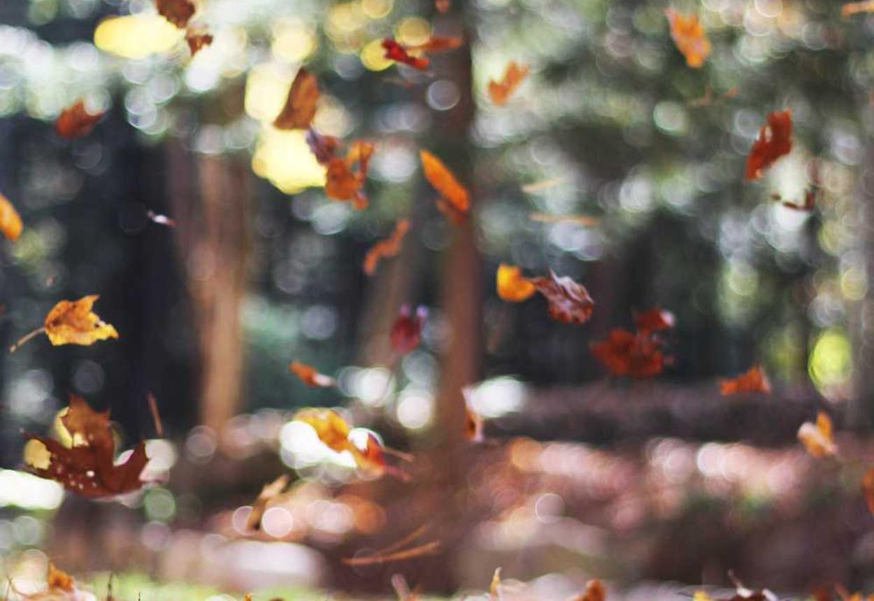 天涯明月刀：龙华办公室购买平台