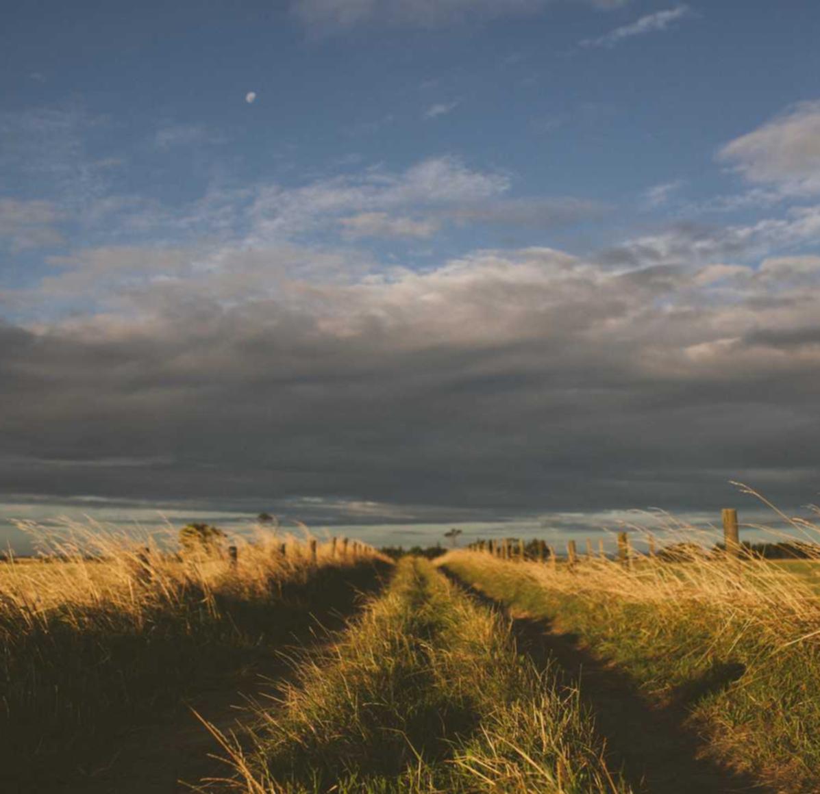实名流量卡买卖:第三方银行怎么注册账号