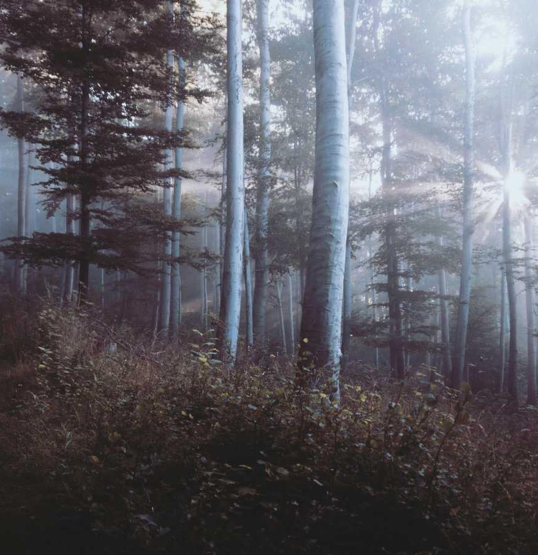 如何在短信营销中使用心理刺激？