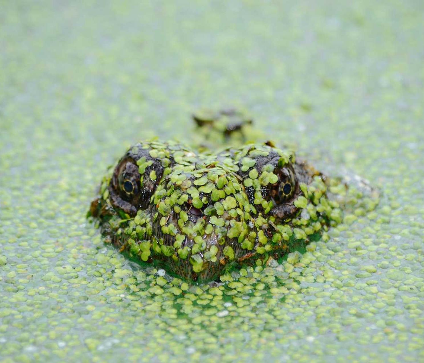 如何打造一个真正公平的游戏社区？