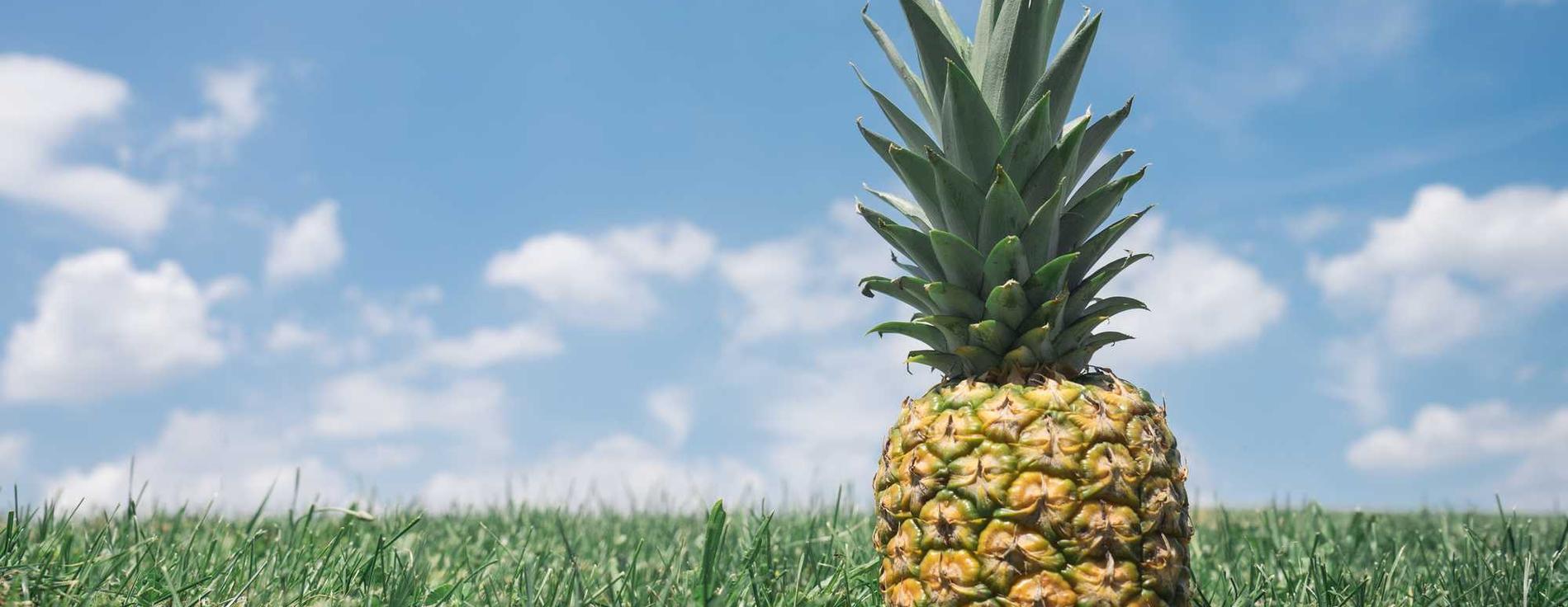 纯流量卡免实名：批量详情下载教程图片app