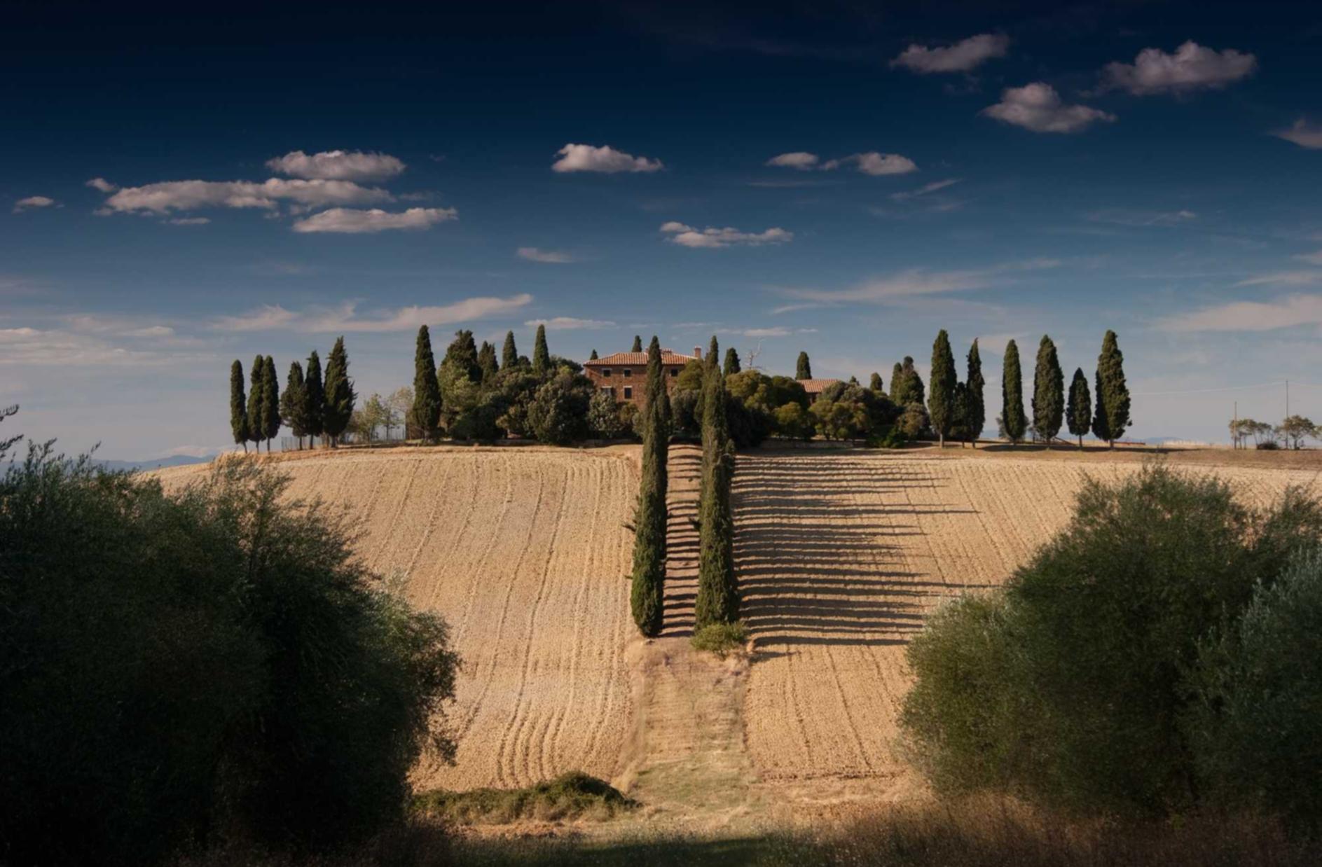 衡天云实名账号：怎么加入跨境平台代理