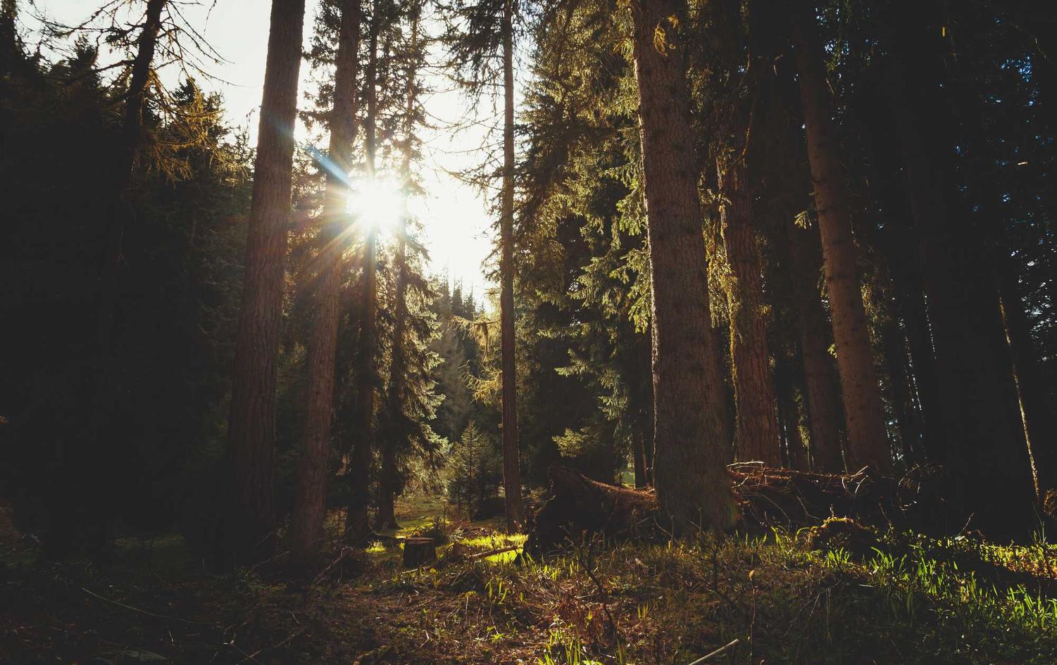 微信批发：真人假发代理平台