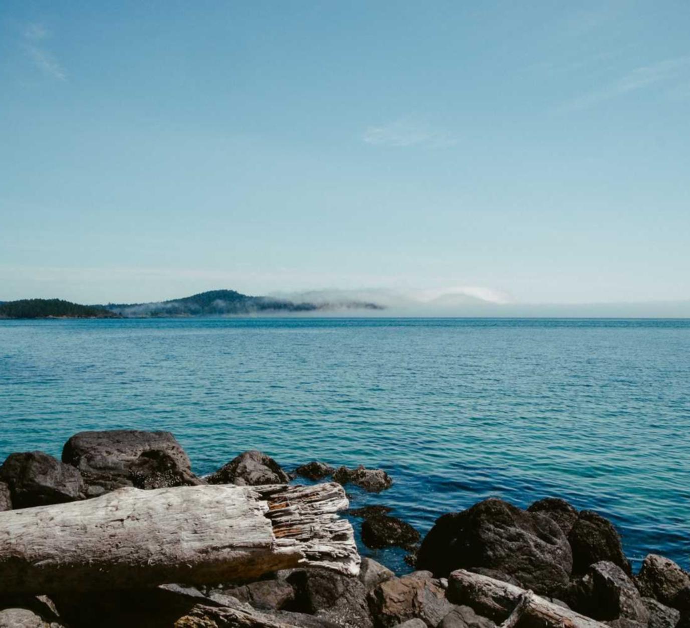 敢达争锋对决：金州代理注册公司联系方式