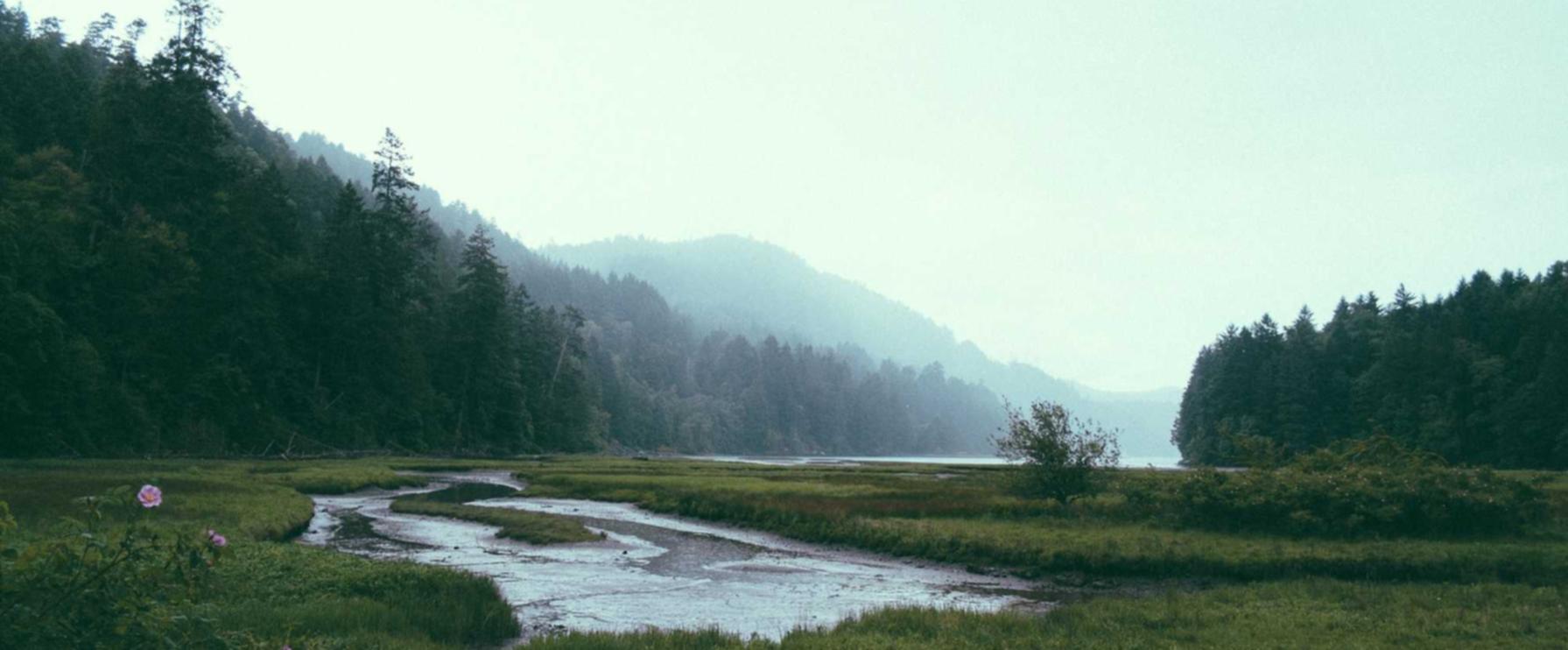 微信账号买卖：期货平台无需开户