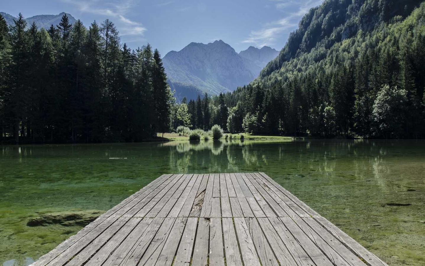 如何将SEO构建为残障人士友好的 