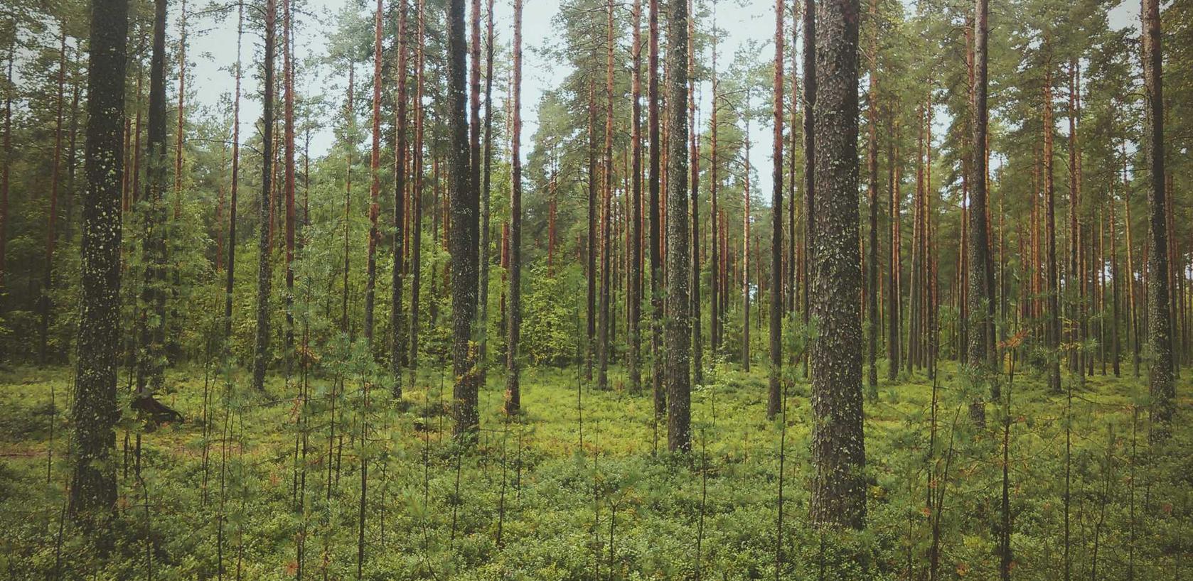 元梦之星：航天区公司工商注册代理