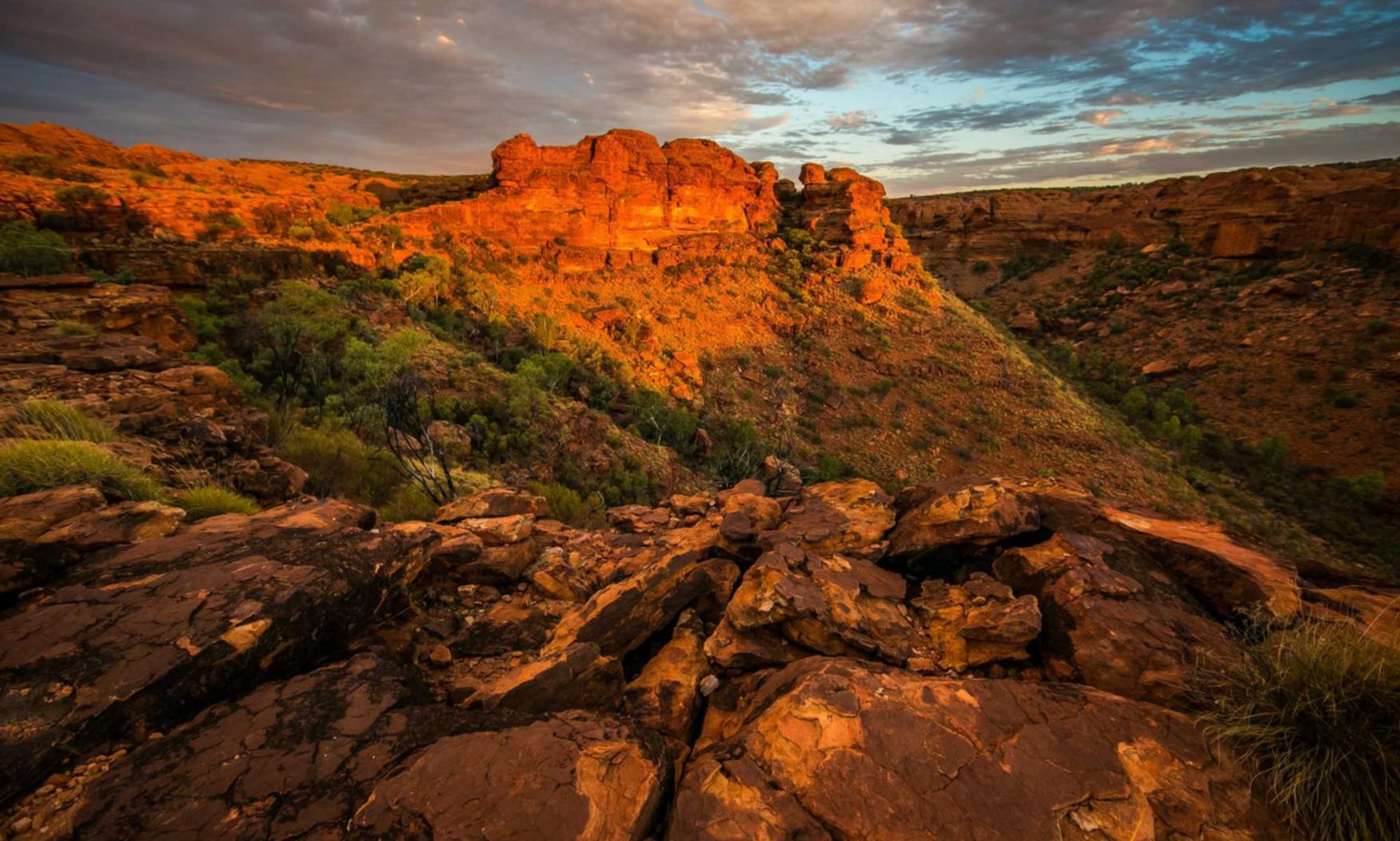 出各种微信号：详情下载教程的App正在载入