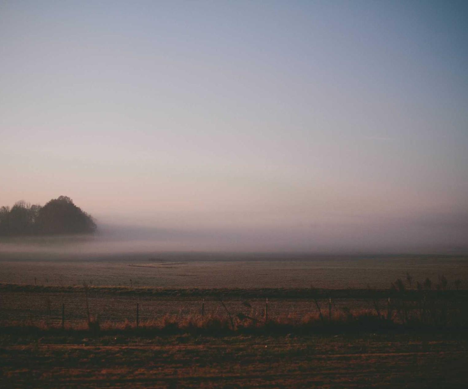 火网实名账号：天天代挂app详情下载教程