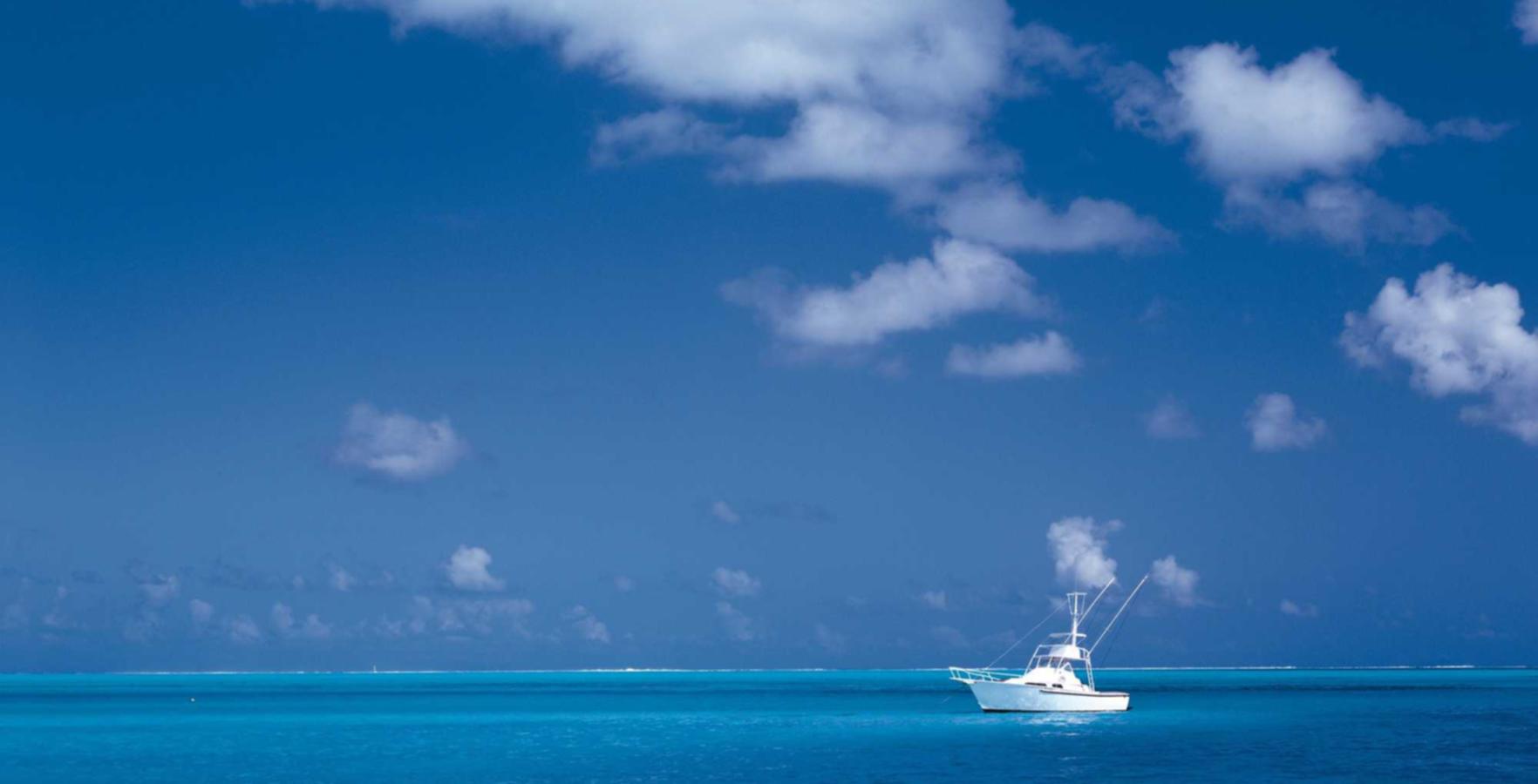 嘉兴正规的注册公司代理