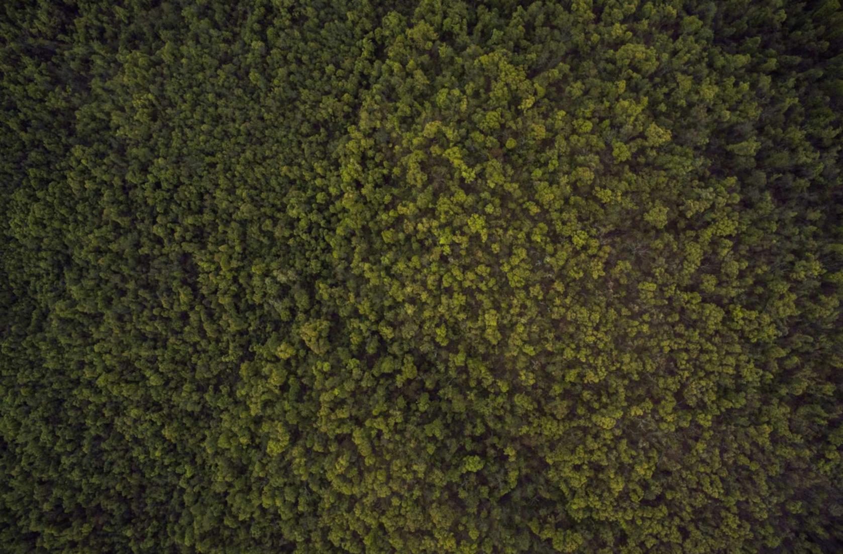 乐语通讯实名账号：药品代理有什么平台