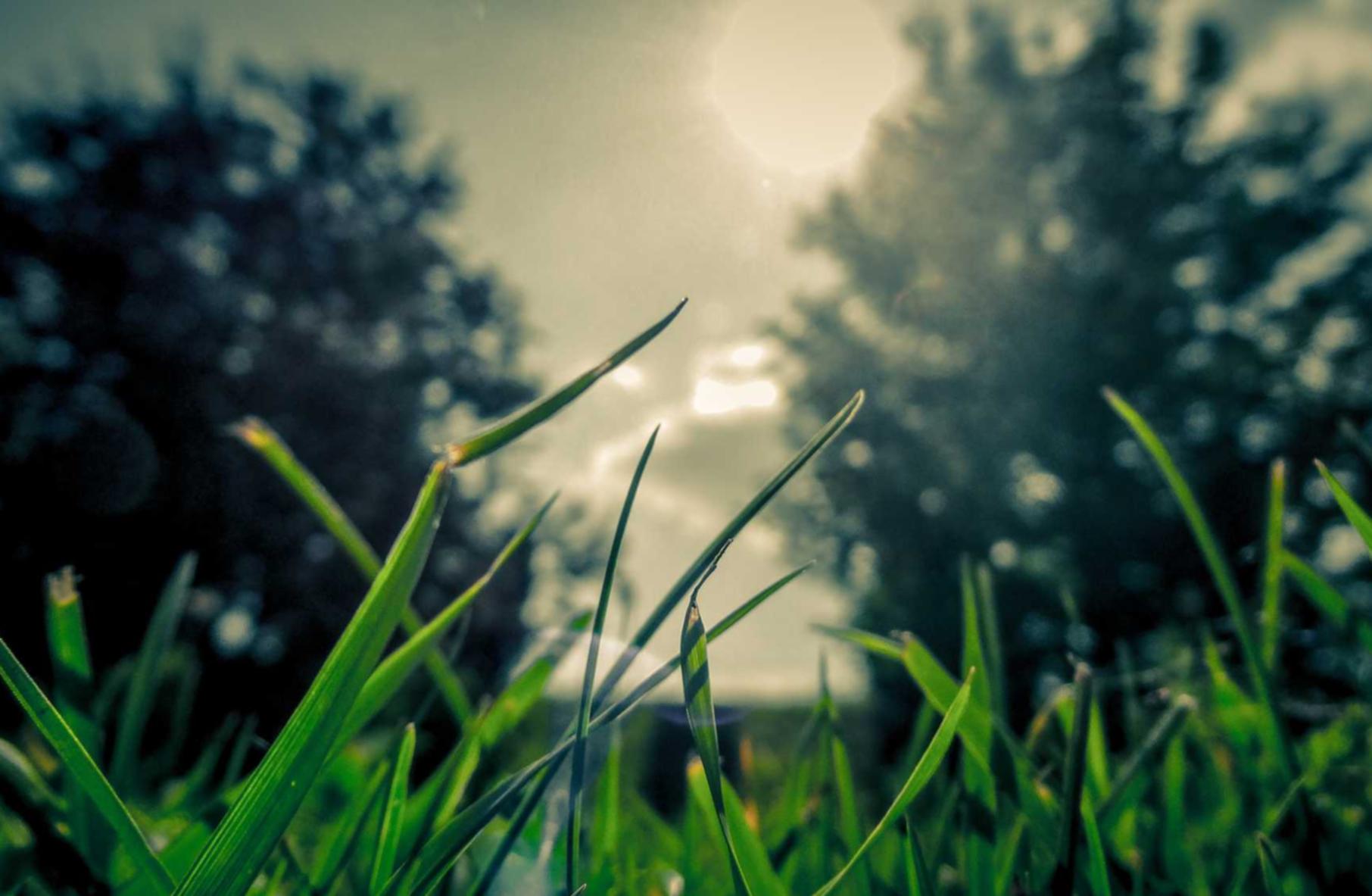 北关区商标注册的代理机构