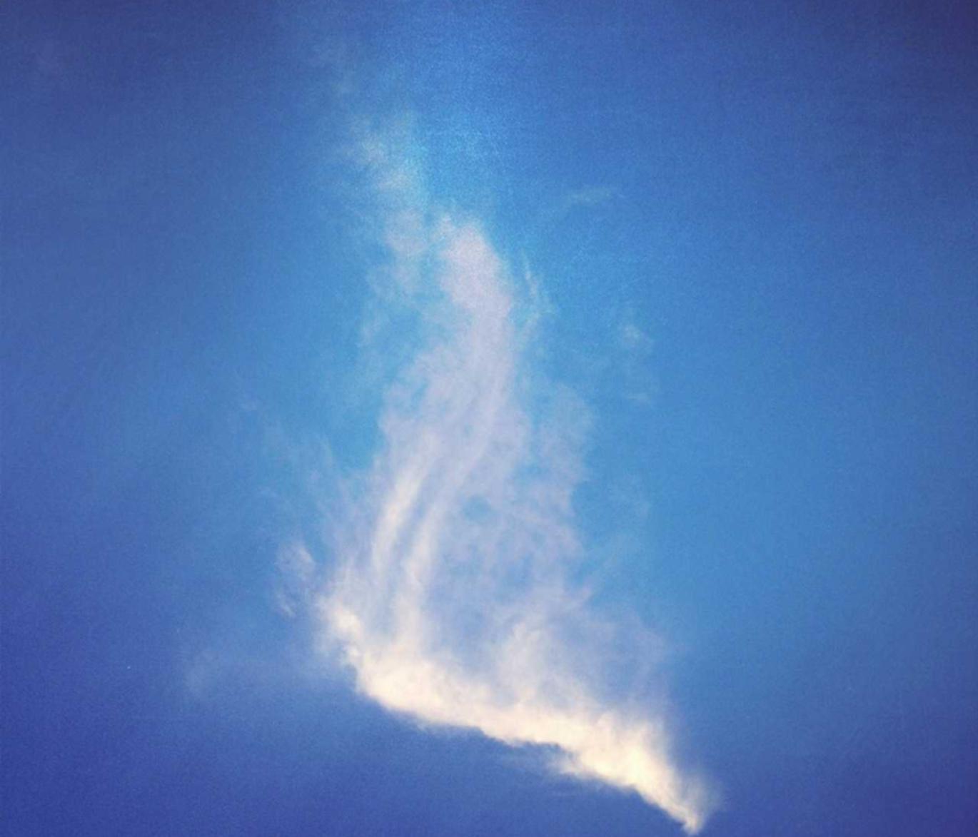 火网实名账号：盐城注册公司代理记帐