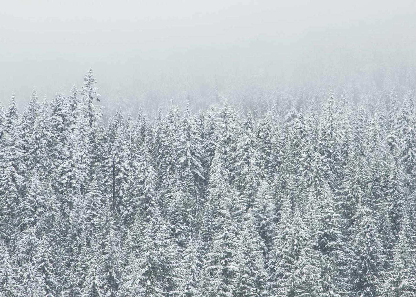 黄MU摇摇柠檬爆珠：蓝牙app软件详情下载教程