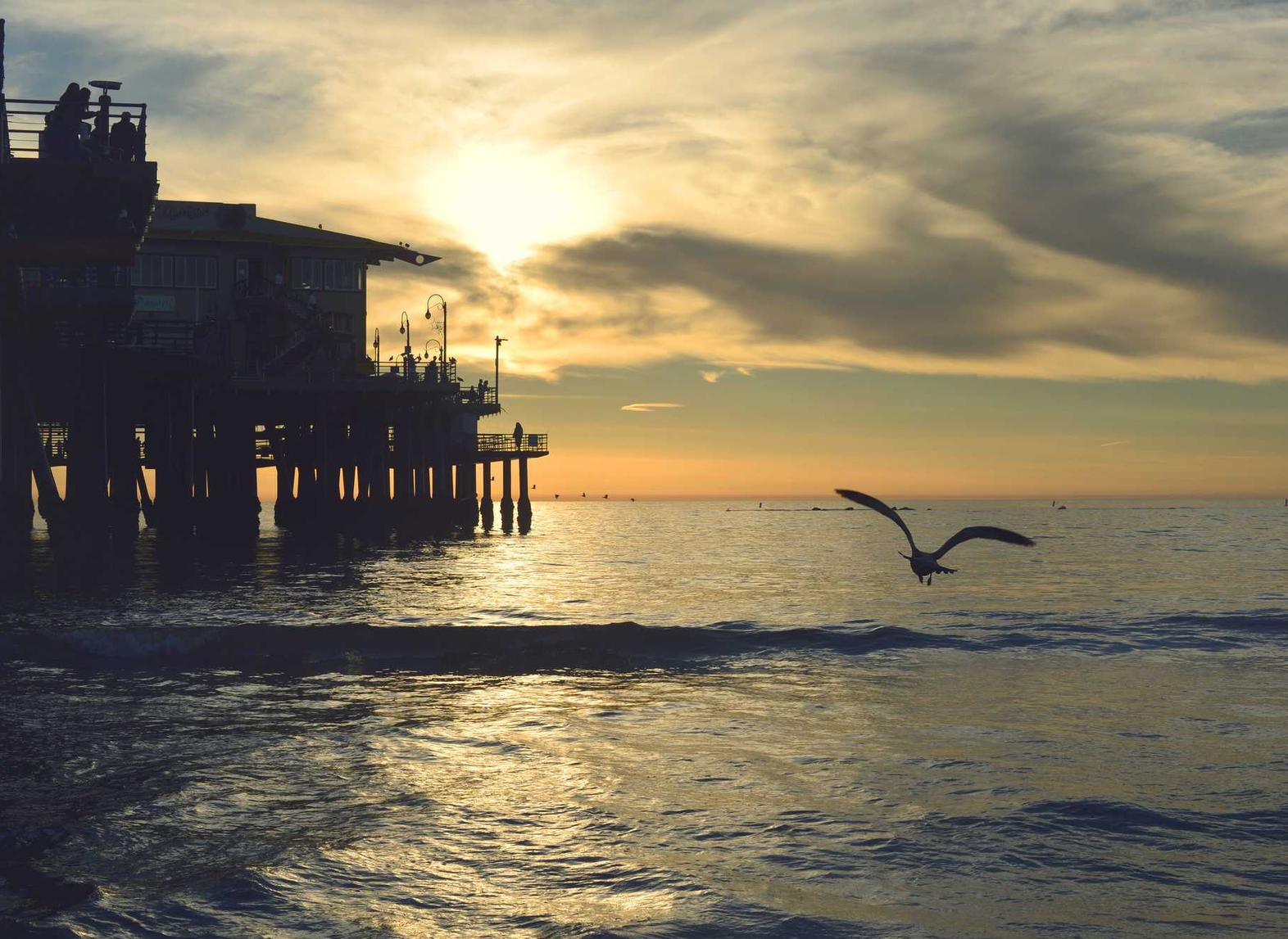 soul实名账号:中国核心互联网账号注册