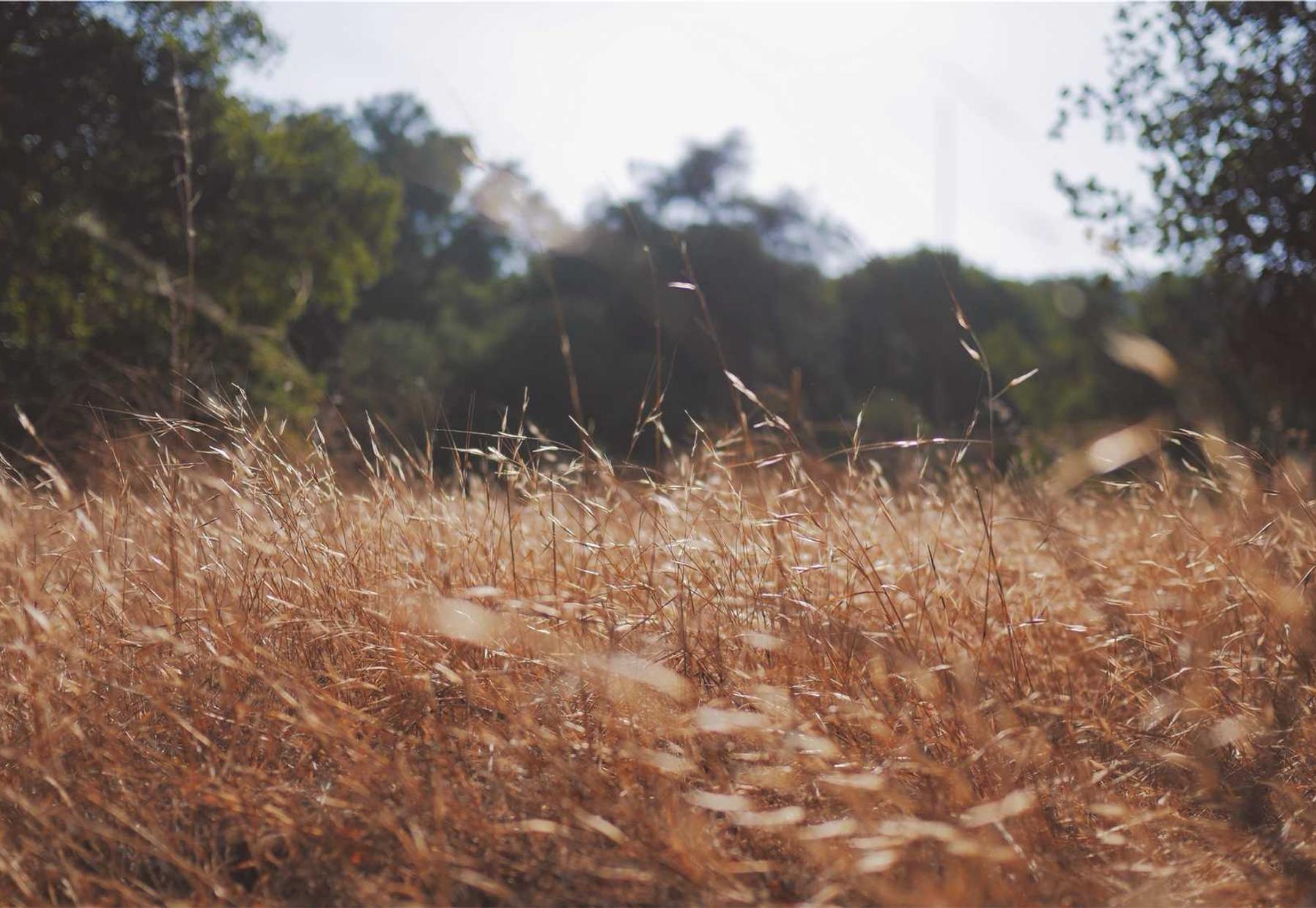 东方奇缘：无限任选版：陕西域名购买代理平台是什么