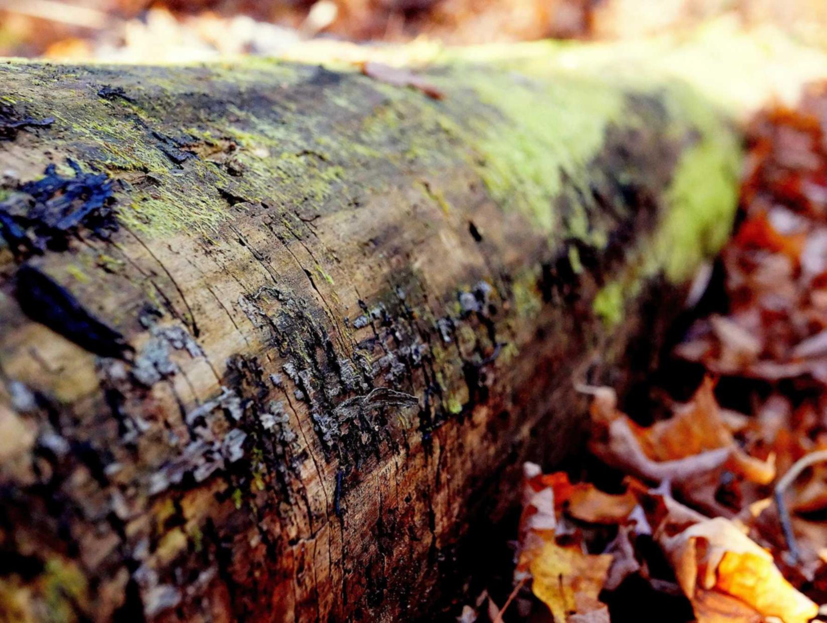 微信买卖小号：意大利注册公司代理