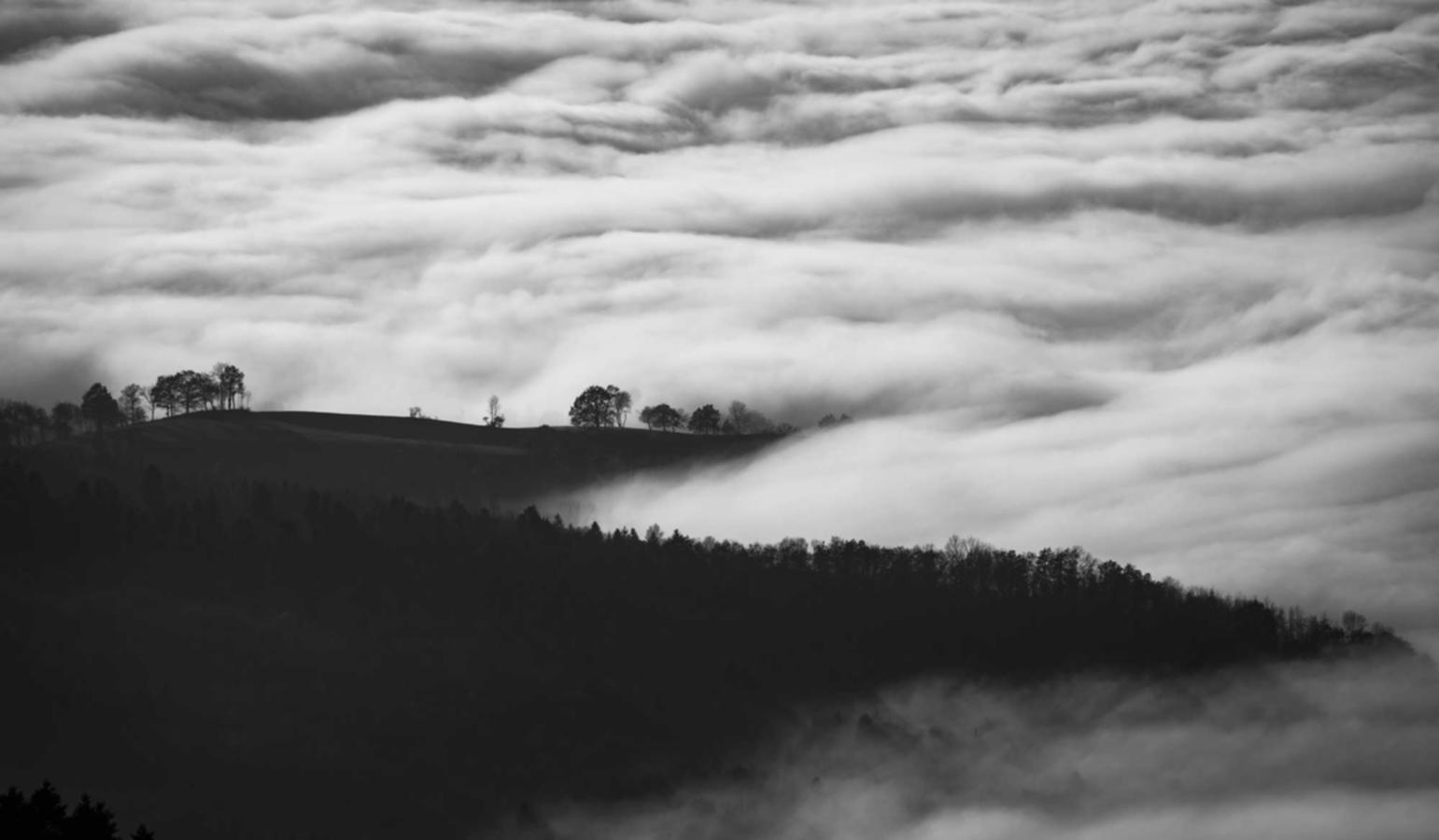 短信营销成功的关键 