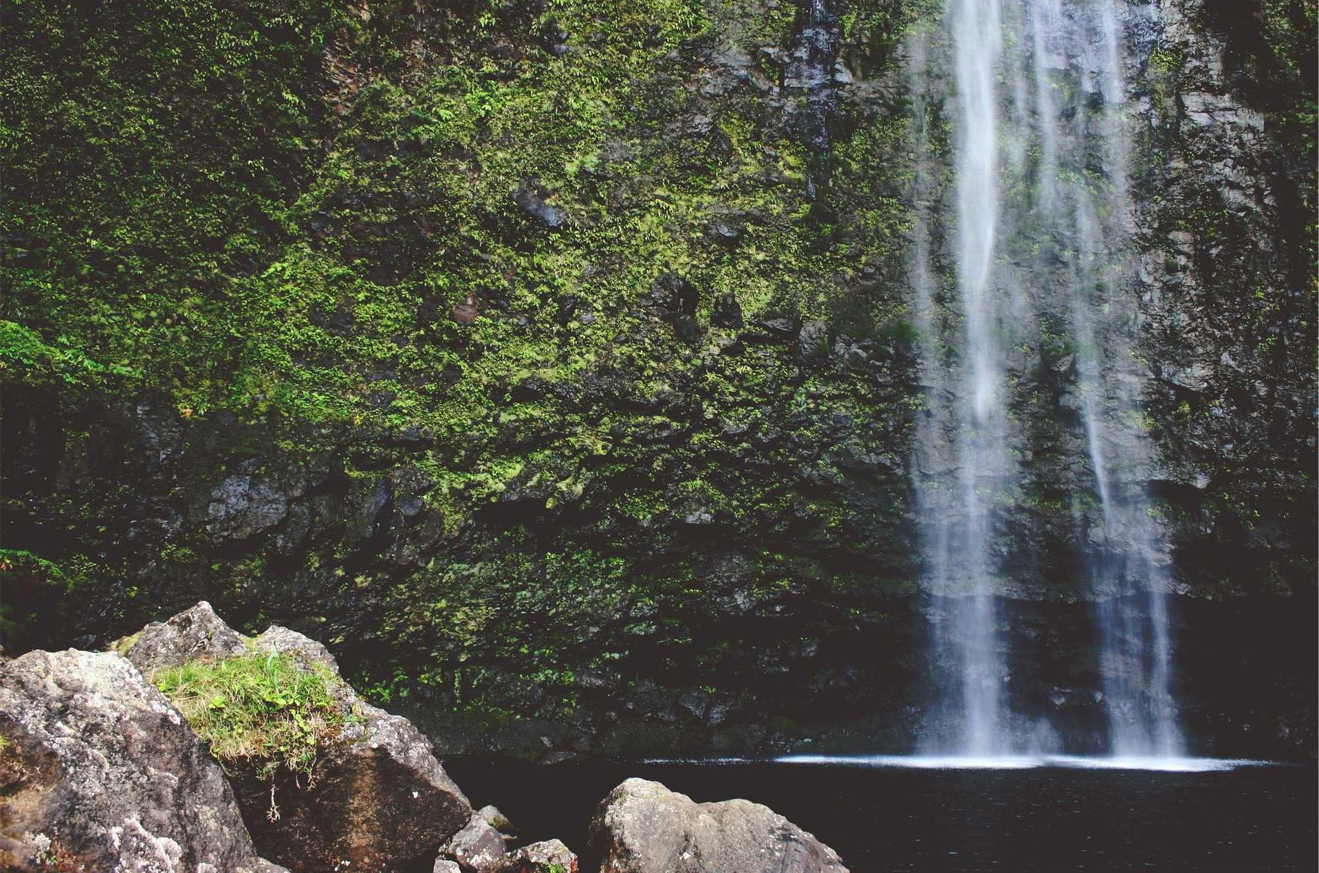 如何更好地面对香烟引起的不适和伤害