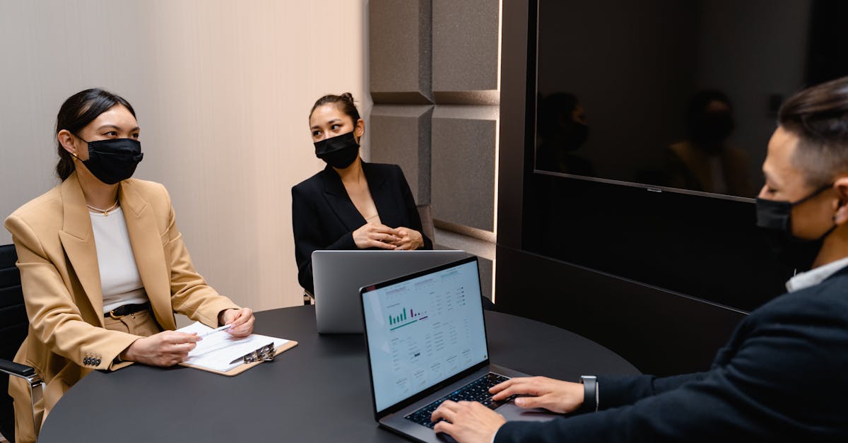 众神王座:猫咪APP旧版本详情下载教程