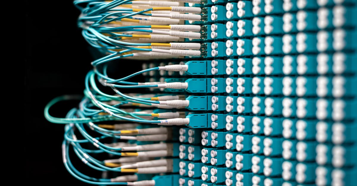 简信实名账号:实名账号和政策法规遵守的标准