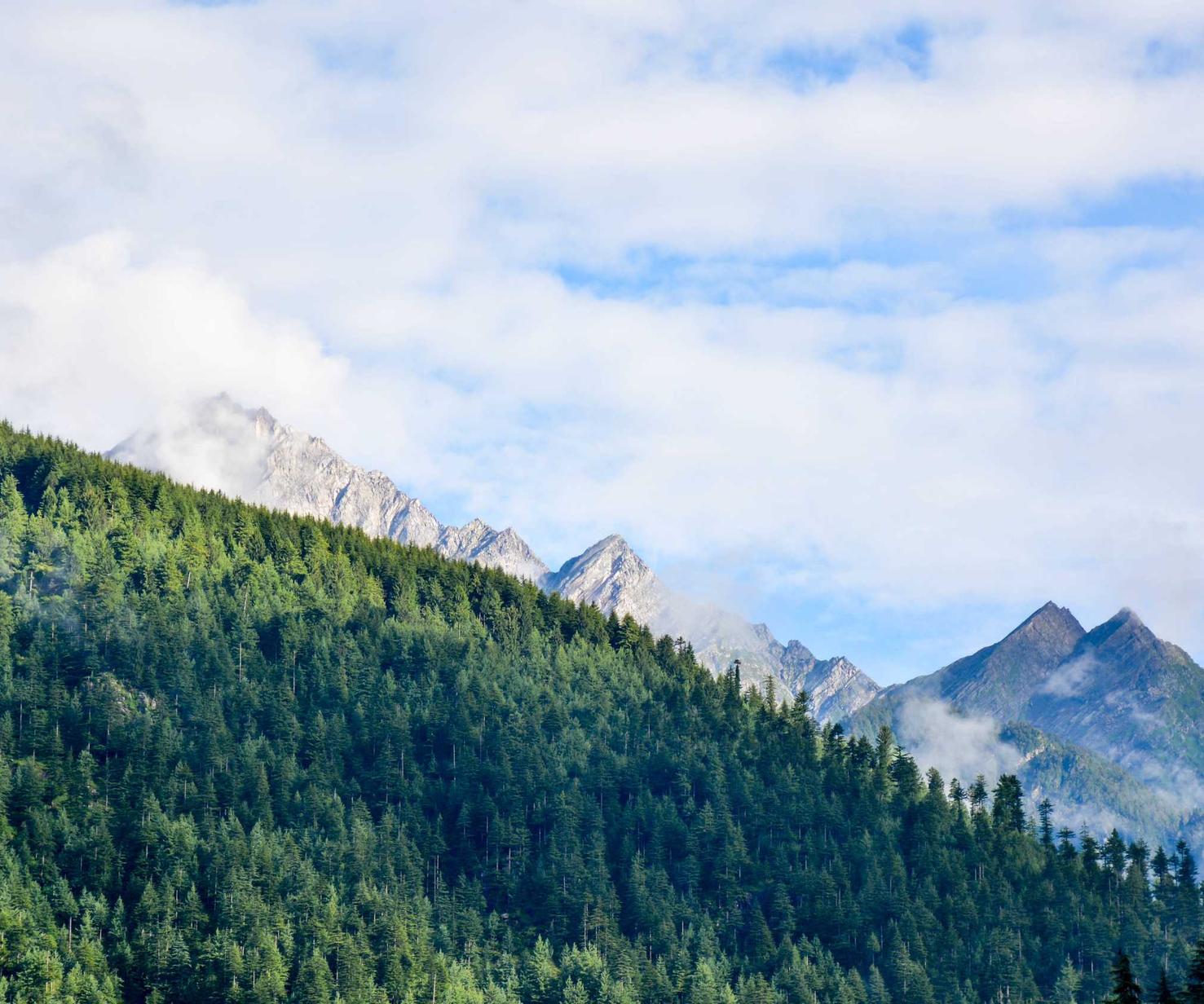 DDOS在线攻击|殷都区商标注册找哪家代理