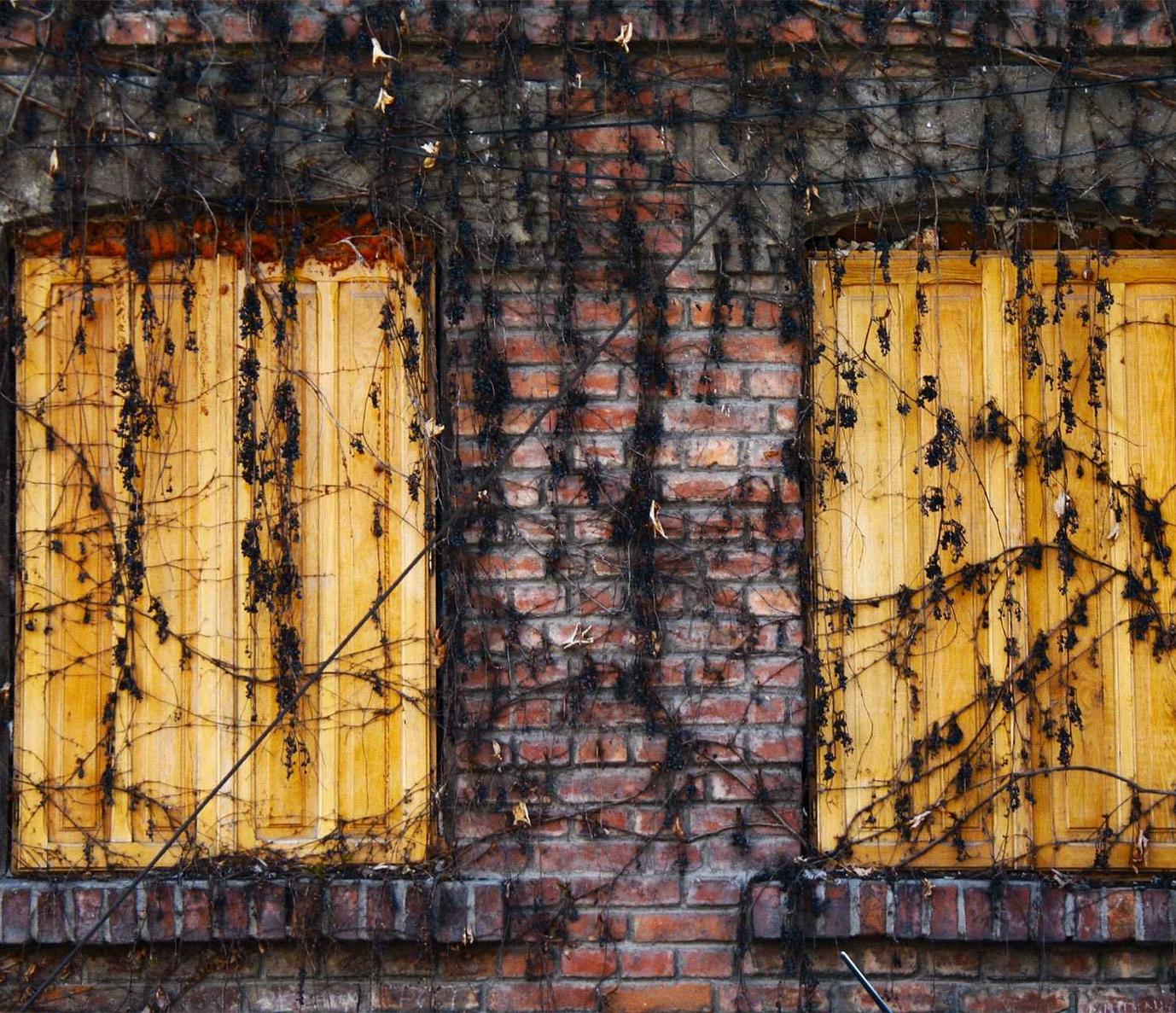 铁盒云斯顿蓝莓爆珠：秒多多官方账号怎么注册