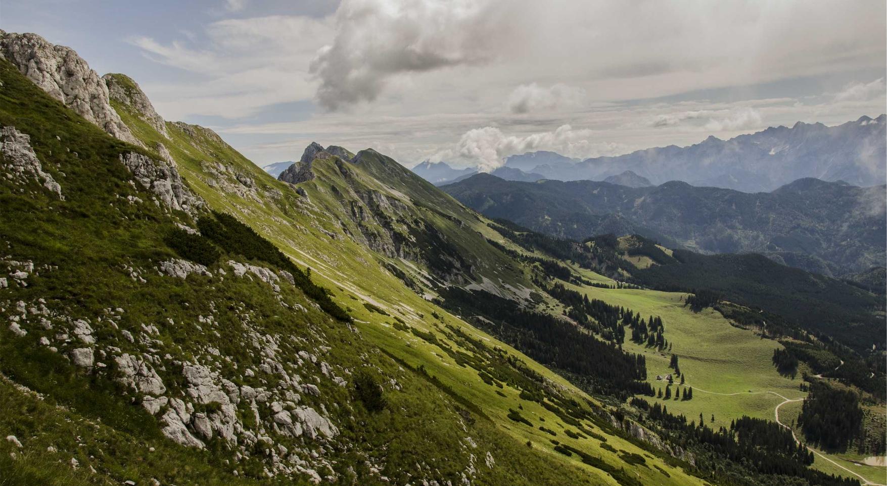 美团美卡实名账号：详情下载教程东西了App