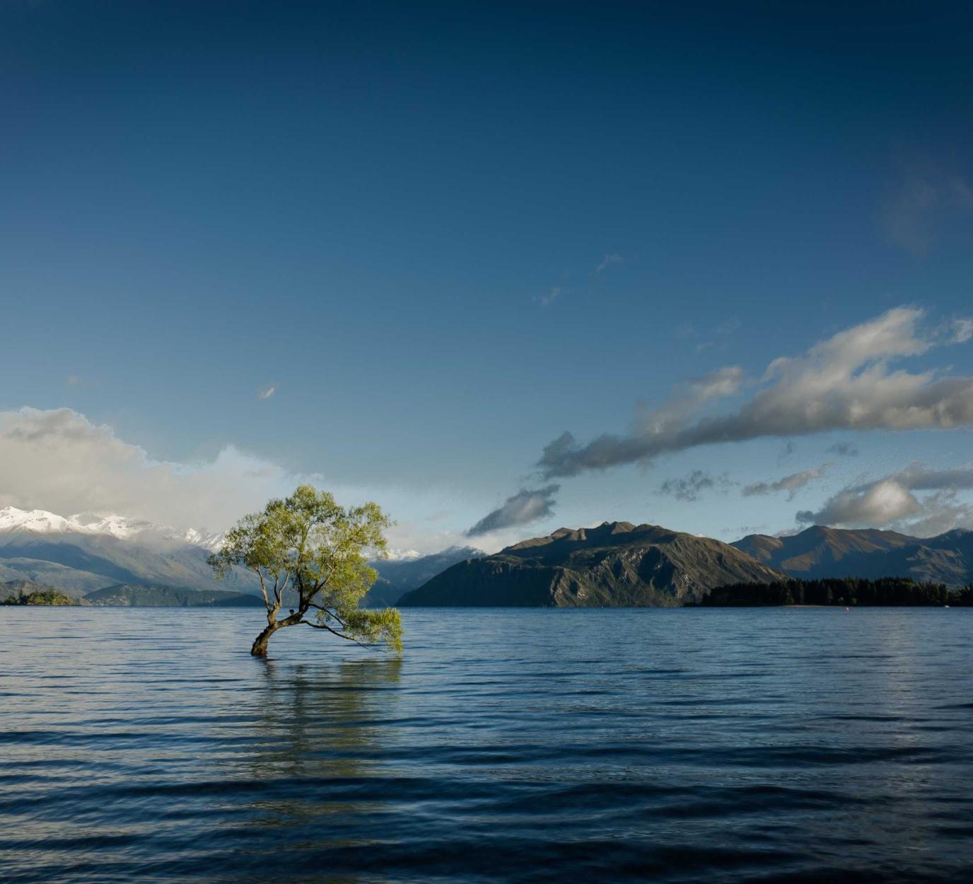 百纵科技实名账号:新乐游戏平台代理加盟