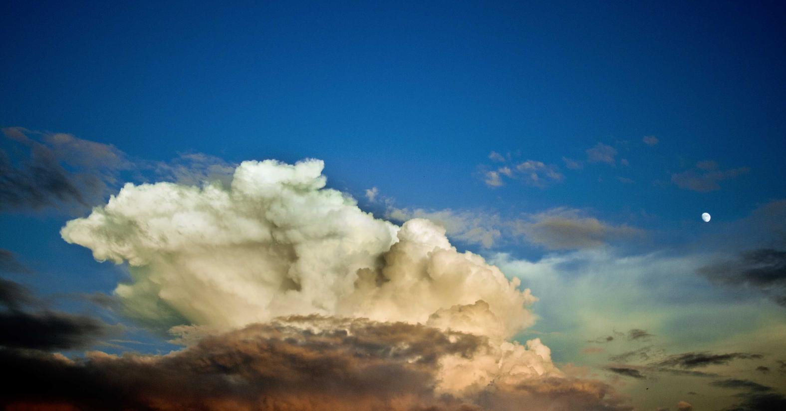 聚名网实名账号:直播平台热度购买