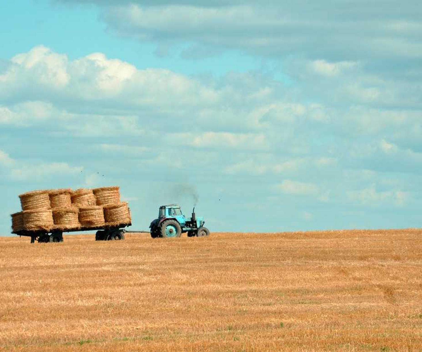 百度云实名账号:实名制和文化产业的新发展