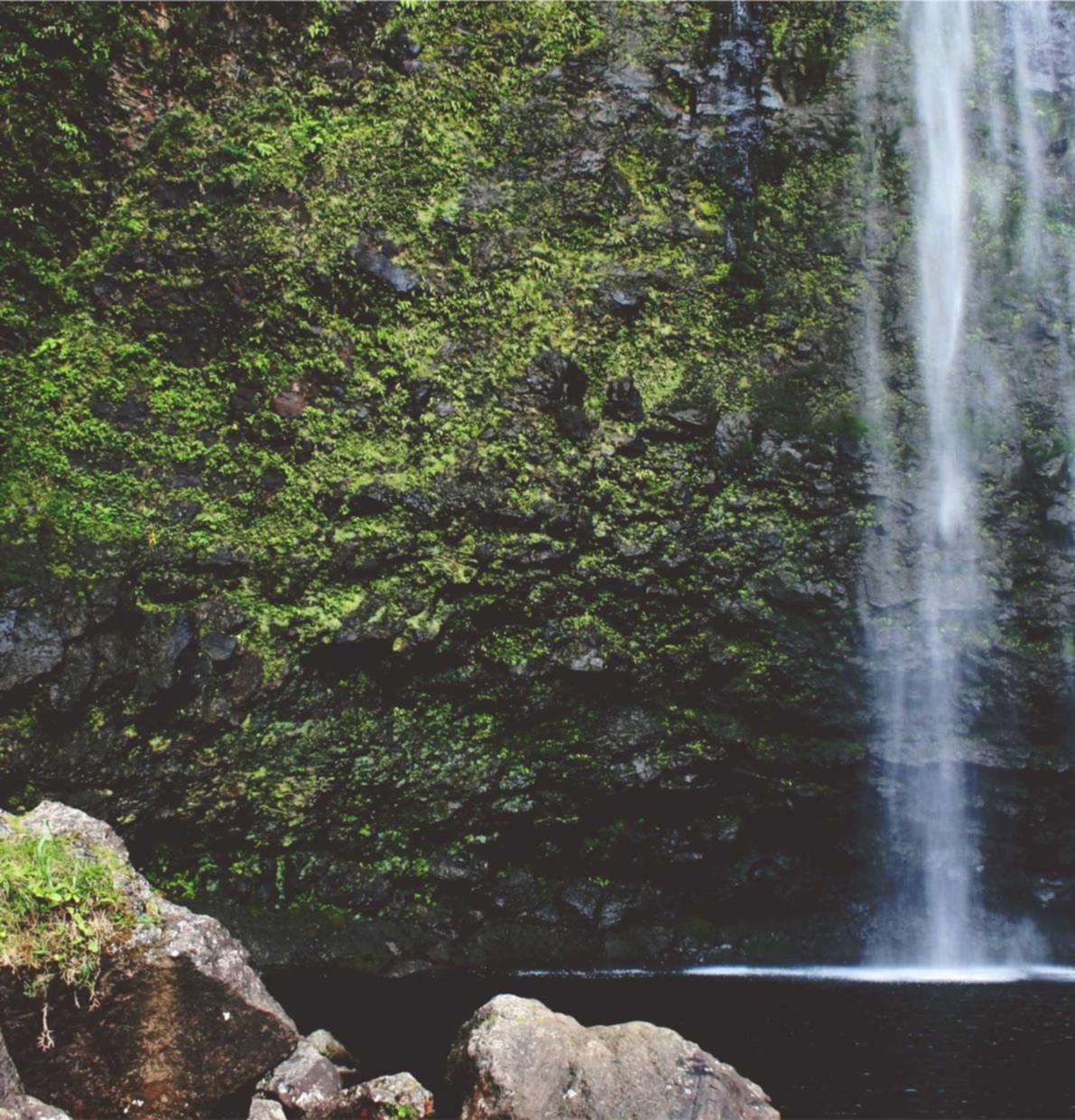 CC在线压力测试|贷得快app详情下载教程