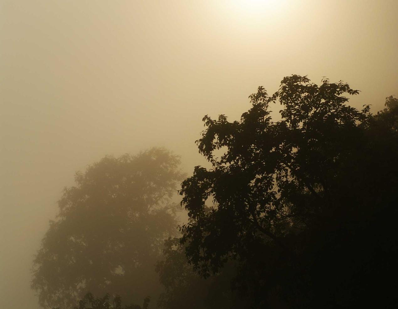 国外ddos攻击页端|注册代理记账价位