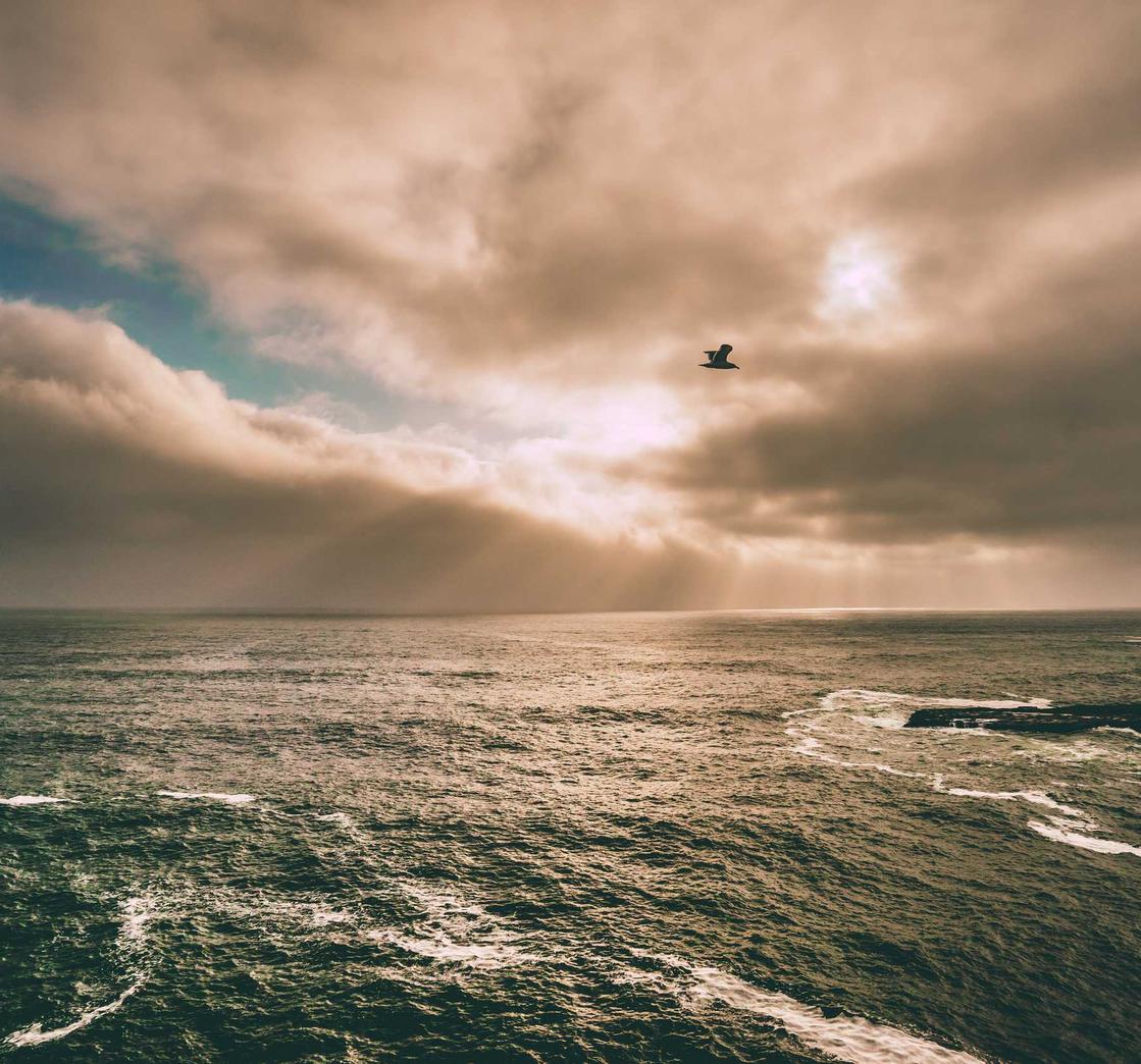 http攻击|易跑运动app详情下载教程